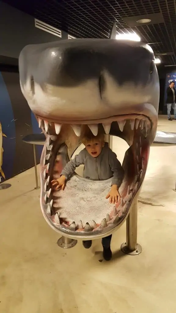 boy inside shark sculpture at aquarium