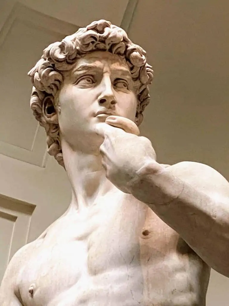 Close up of Michelangelo's David statue, from the chest up.