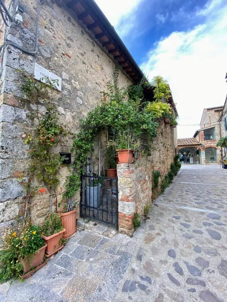 A side street called 'Vicolo Stretto' in Monteriggioni, Italy.  A stairway to a home is lined with plants and vines.