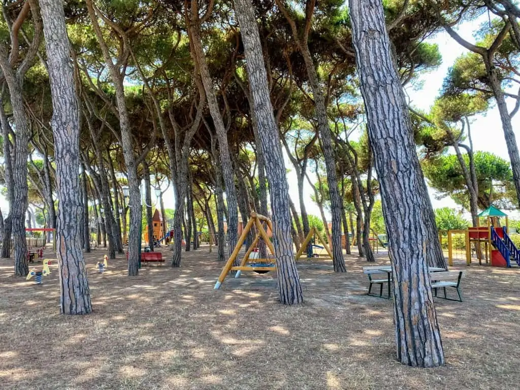 play structures at forte dei marmi's parco sabin, shaded by tall umbrella pine trees