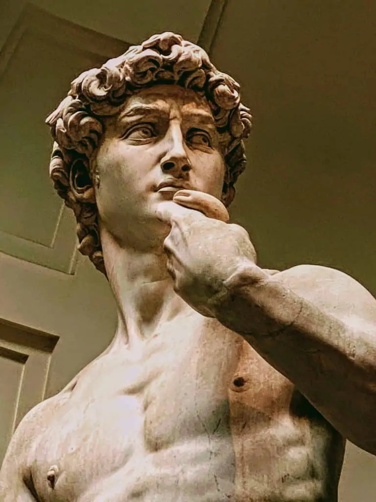 Photo of the David statue from the torso up.  Evening in the Accademia Galleries in Florence, Italy.