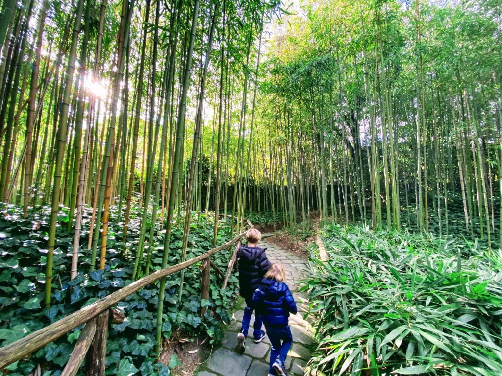 Two boys walk through the bamboo forest walk at the Pinocchio Park in Collodi, Italy.  The path is made of cobblestones and there is a wooden railing.