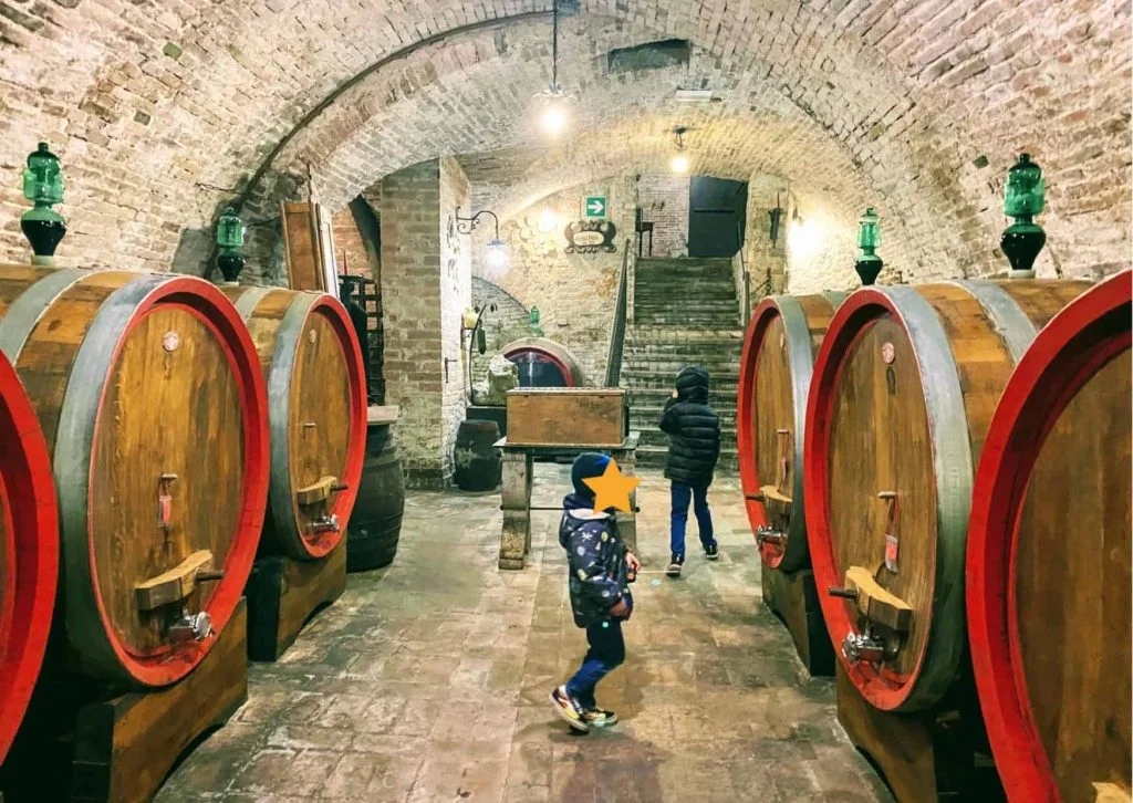 Boys looking at wine barrels in cellar in Italy.
