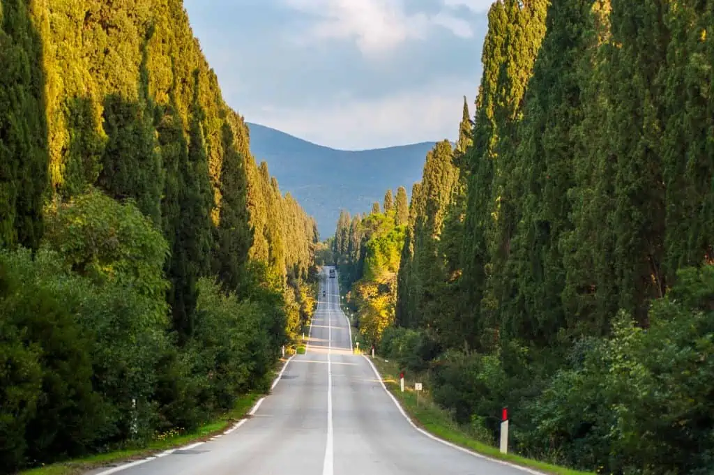 Cypress-lined road in Bolgheri in Tuscany, Italy.