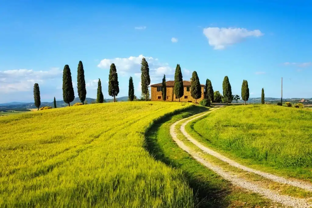 Cypress trees surround a farmhouse in Southern Tuscany, Italy.