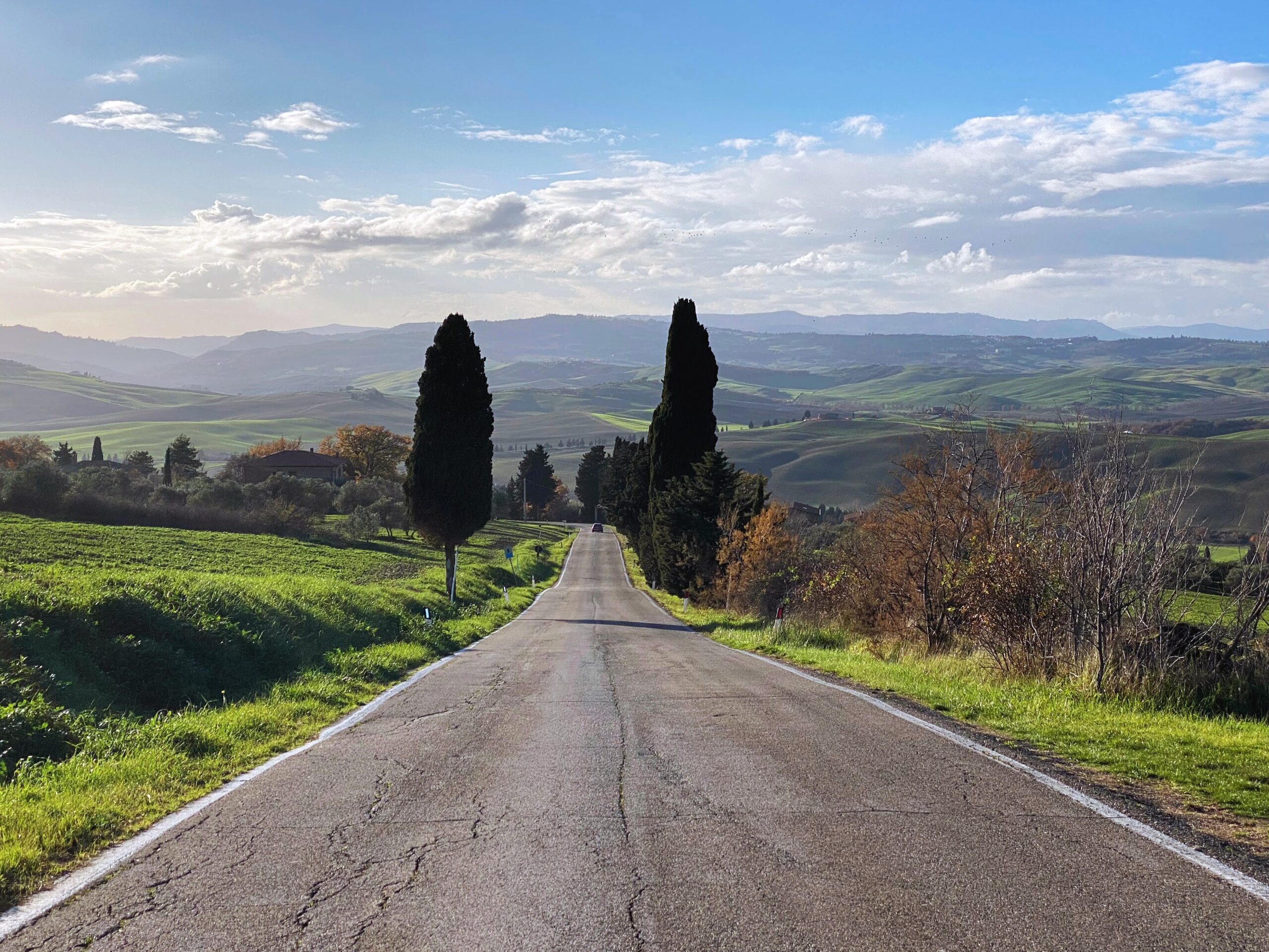 Cypress trees line on the sides of a road in the Val d'Orcia in Tuscany, Italy