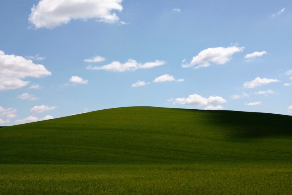 Green, grassy hillside in the Val d'Orcia in Southern Tuscany, Italy.  It's a sunny day with puffy white clouds.