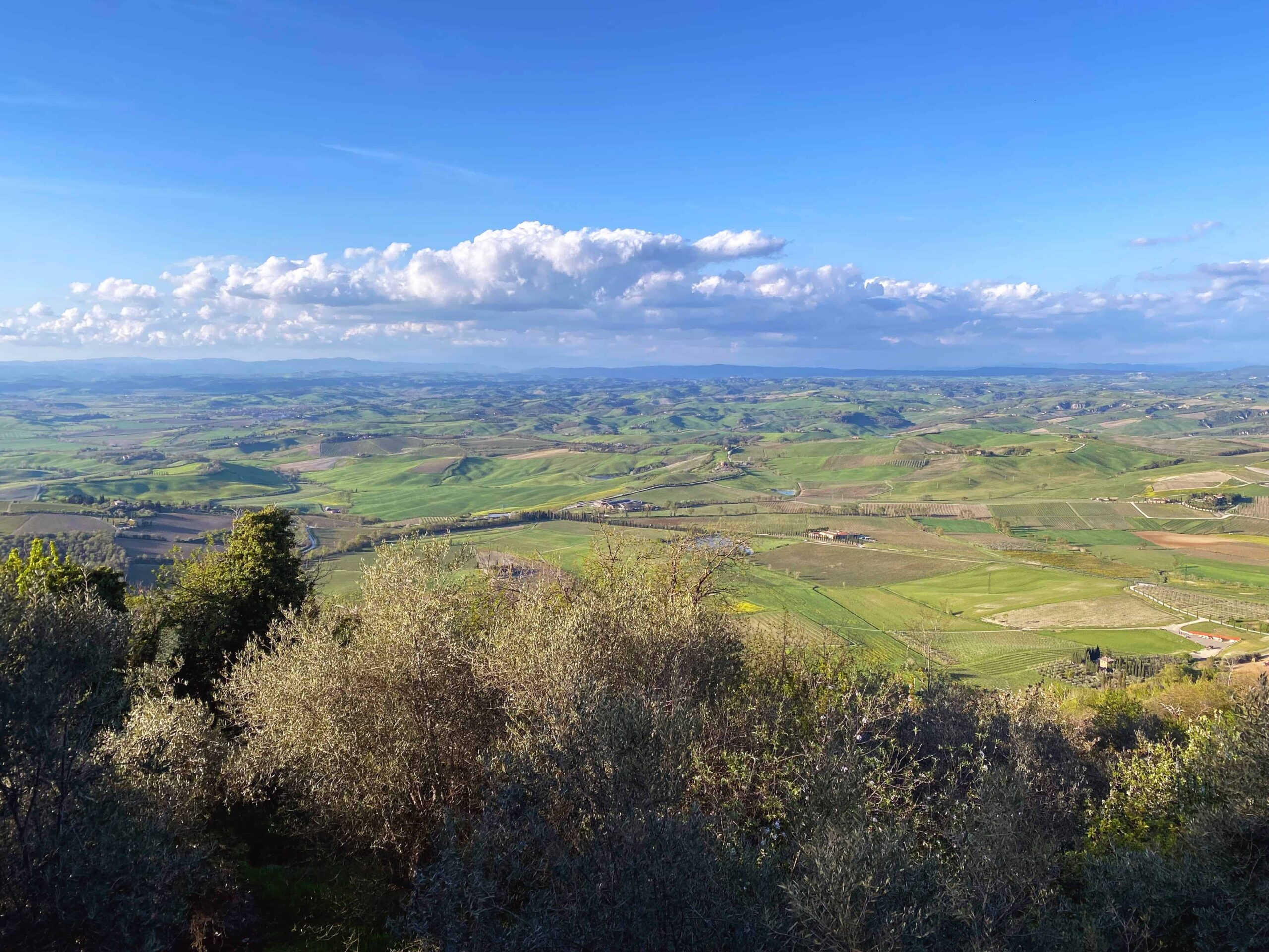 View of the Val d'Orcia in Spring in Tuscany.