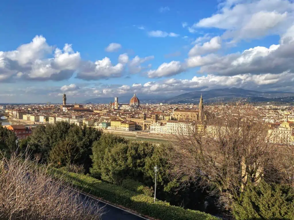 Florence skyline on a sunny day. You can see trees and bushes in foreground.
