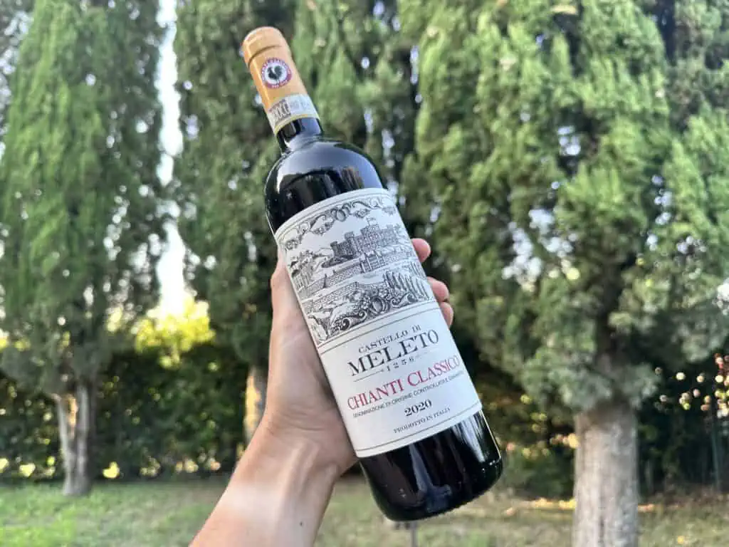 Hand holding up a bottle of Chianti Classico wine from Castello di Meleto. You can see cypress trees in the background.