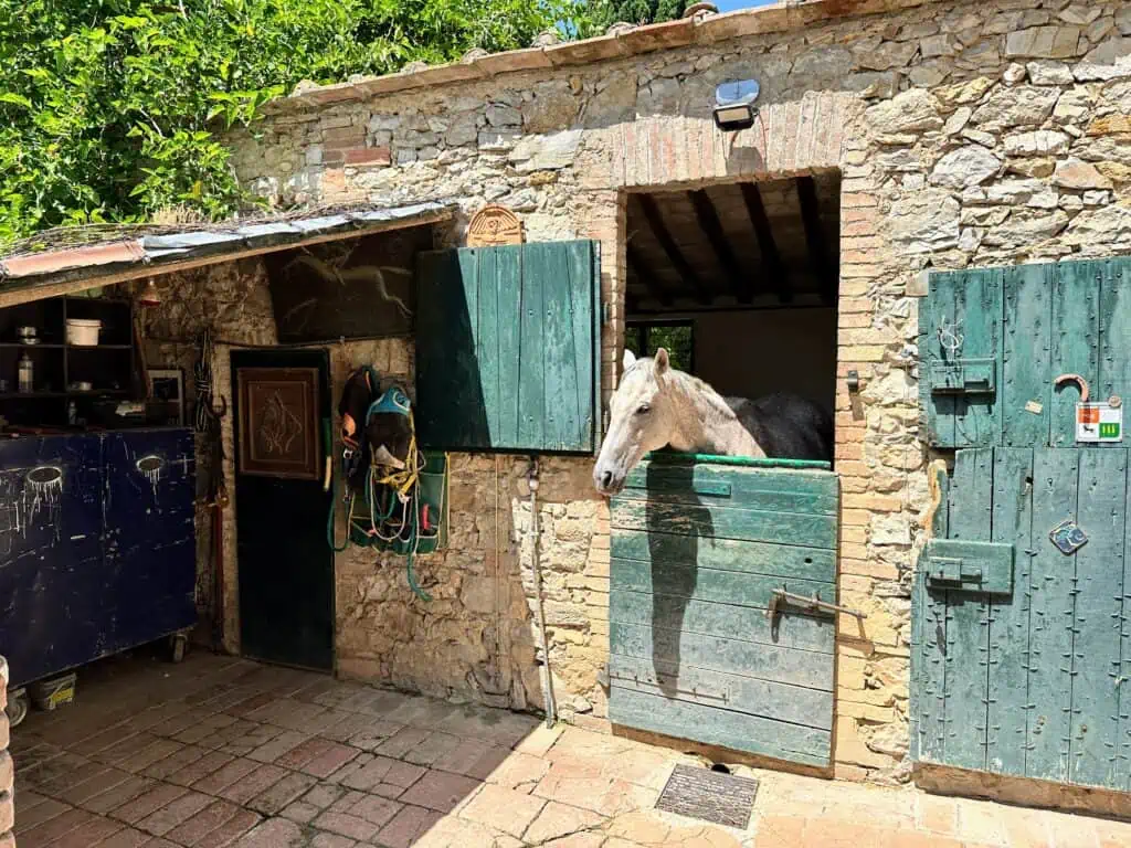 Horse peeking out of stone stable in Tuscany.