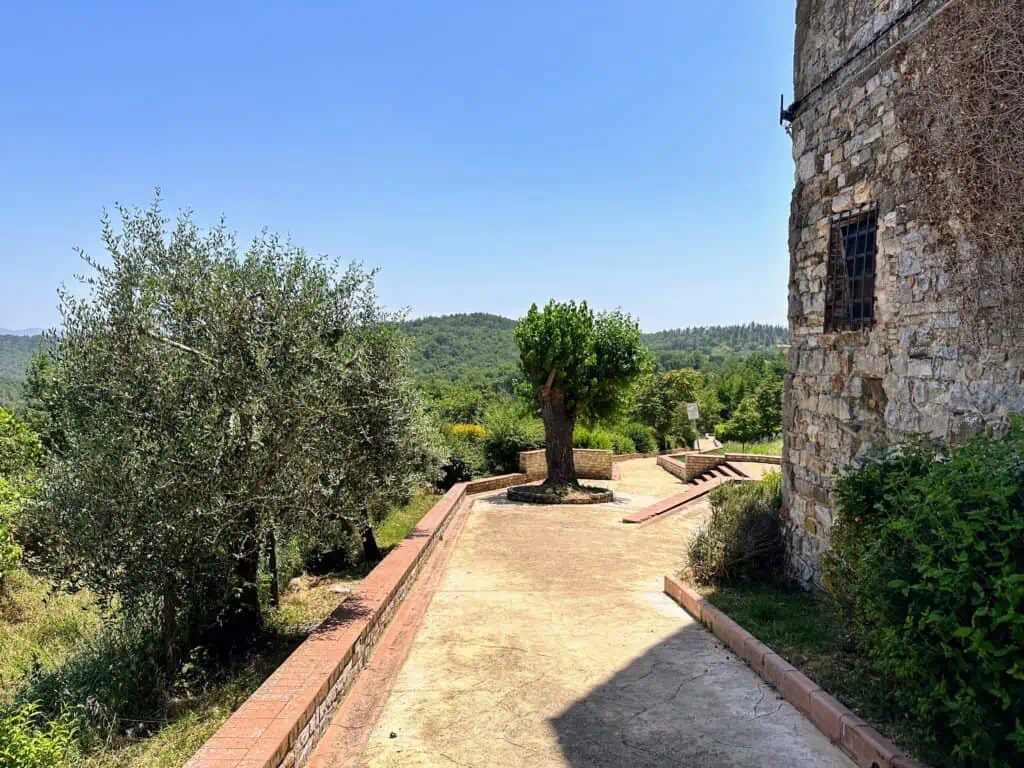 Paved path outside the walls of Castellina in Chianti. You can see olive trees and vineyards to the left.