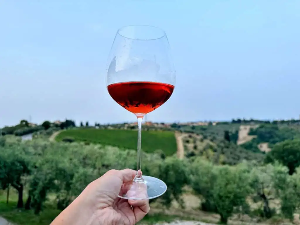 Hand holding up glass of red wine in Chianti, Italy