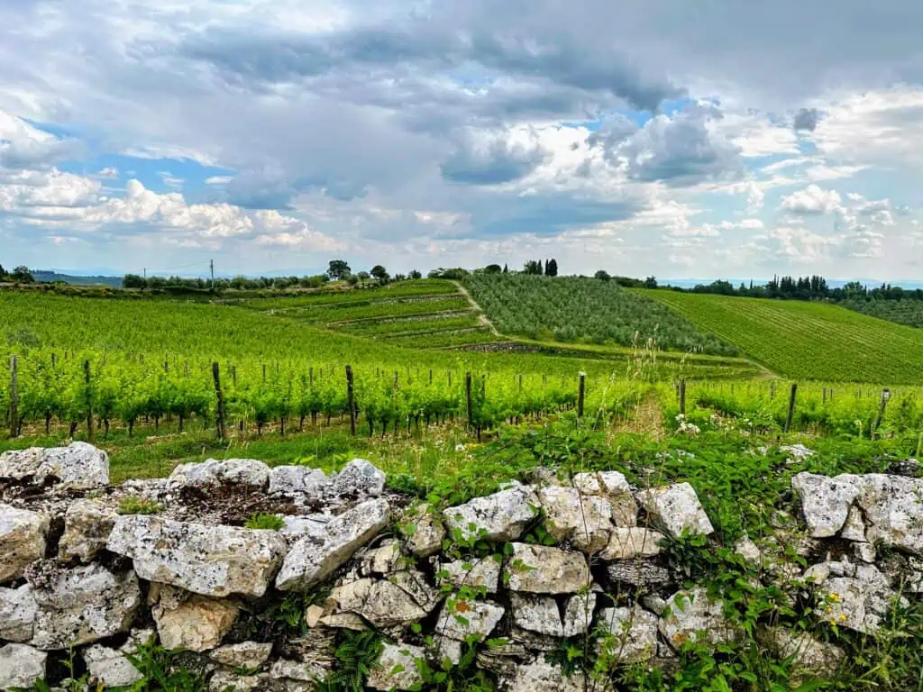 Rocky wall and green vineyards in Chianti, Tuscany, Italy.