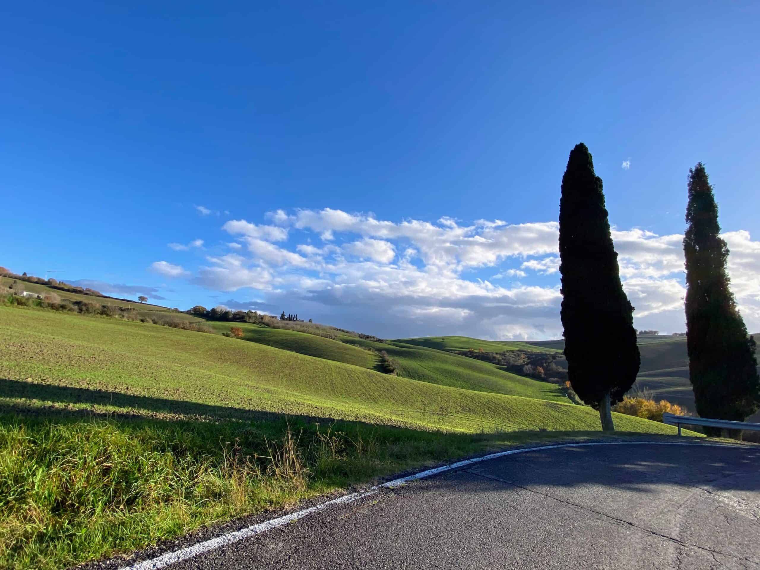 Cypress trees line the road in the Val d'Orcia in Southern Tuscany.