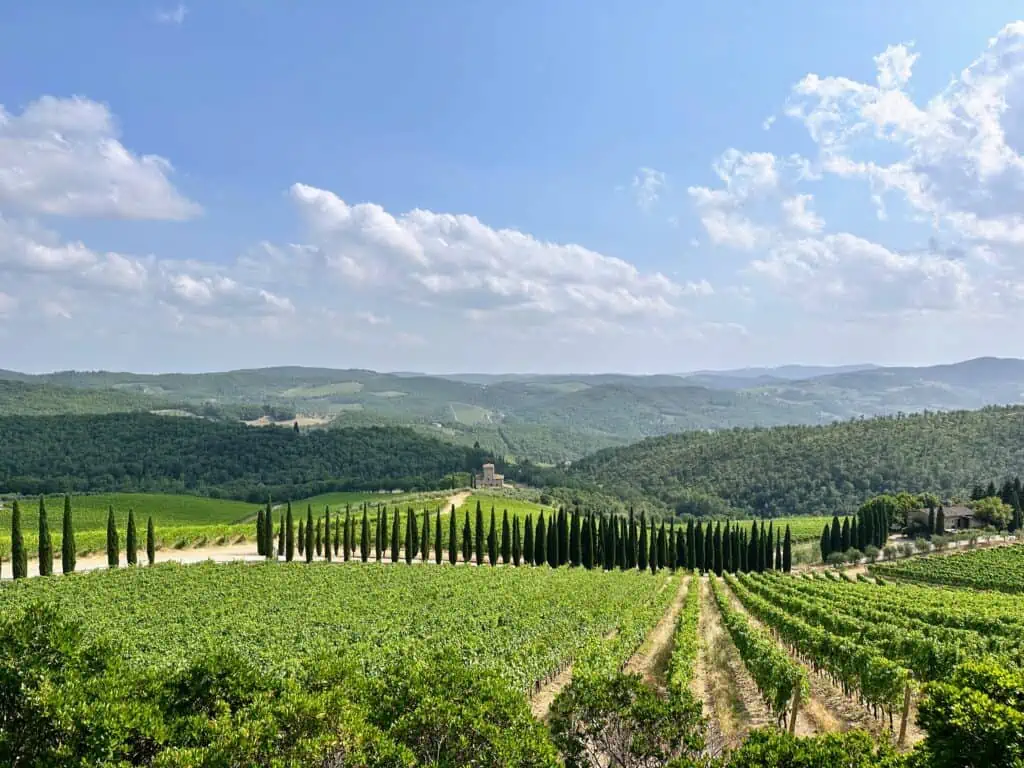 Vineyards and cypress-lined drives at Castello di Albola in Chianti, Italy.
