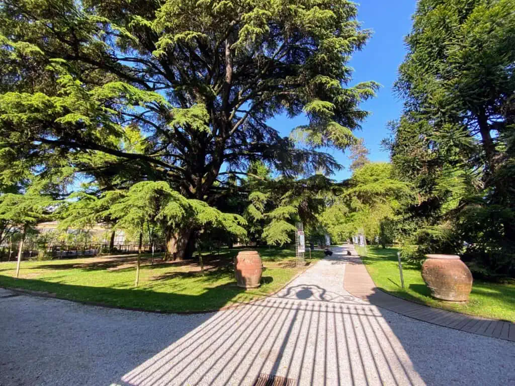 Gravel paths run between grassy areas with large trees at the botanical garden in Lucca, Italy.