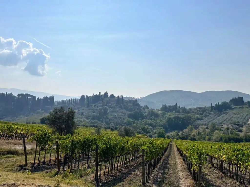 Vineyards in foreground and hills with trees, olive groves, and the village of Montefioralle in the background.