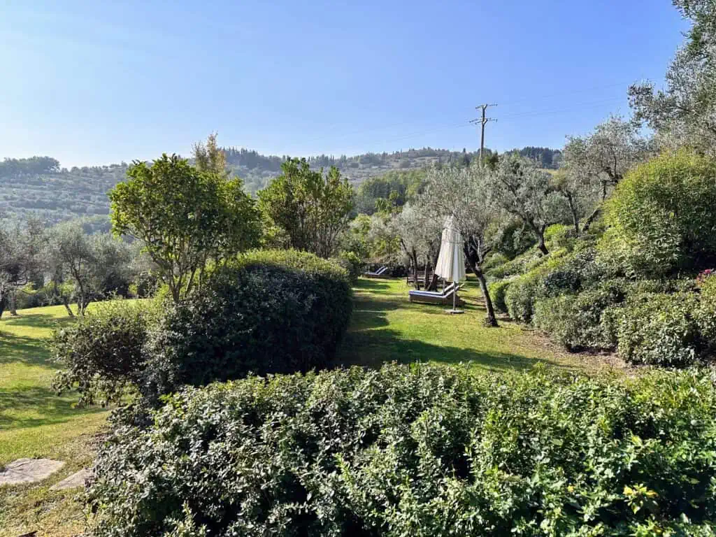 Garden area in back of Villa Bordoni above Greve in Chianti in Tuscany. You can see lounge chairs and umbrellas in the grassy area amongst bushes and olive trees.