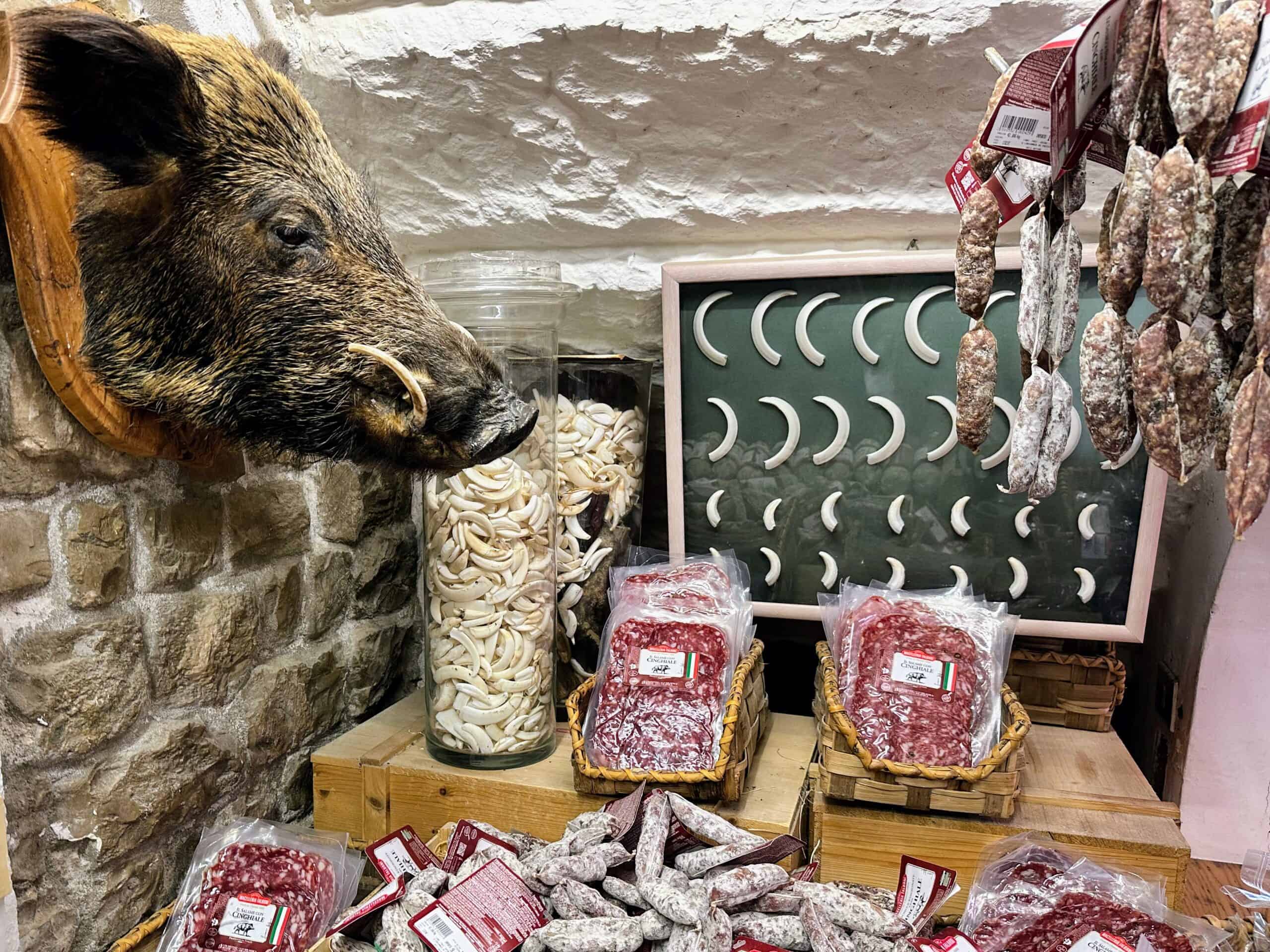 Wild boar head on wall and teeth on display at the Falorni butcher shop in Greve in Chianti, Italy.