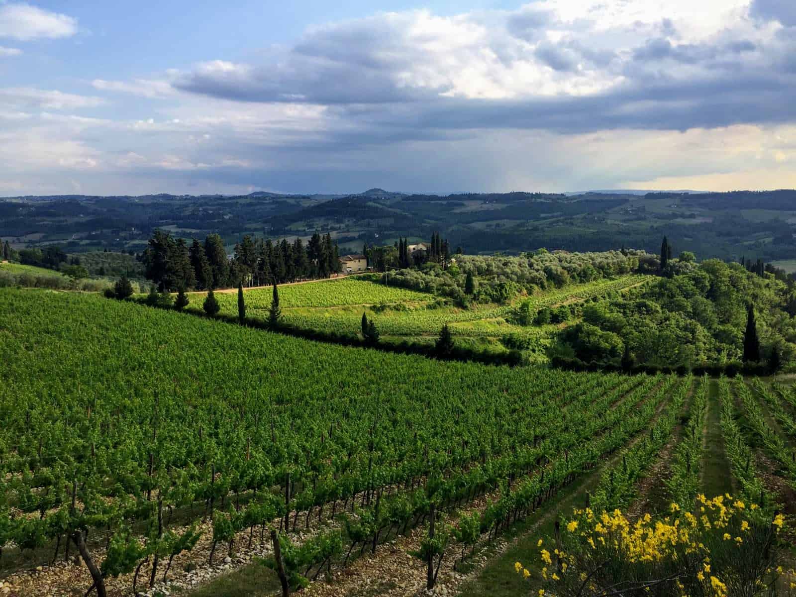 best-times-to-visit-tuscany-month-by-month-the-tuscan-mom