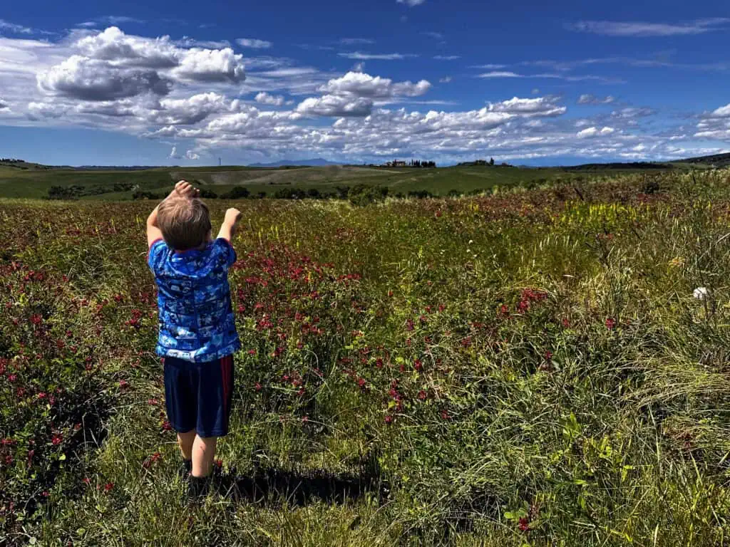 Boy stands in field and points to hilltop town in the distance in Tuscany, Italy on a sunny day.