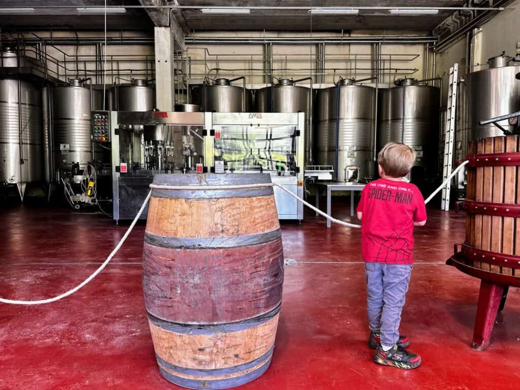 Boy in red shirt stands behind rope and looks at large steel wine containers at a cantina in Tuscany, Italy.