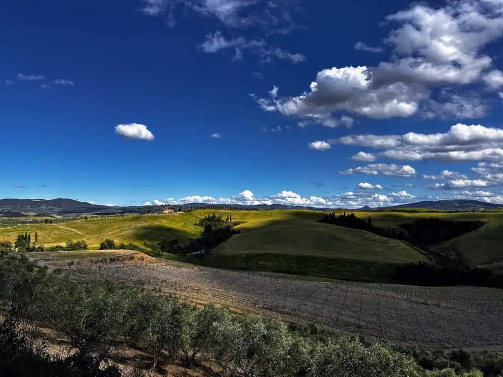 View of vines at rolling hills at Agriturismo Diacceroni in Tuscany, Italy.
