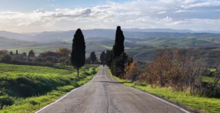 Cypress trees line on the sides of a road in the Val d'Orcia in Tuscany, Italy.